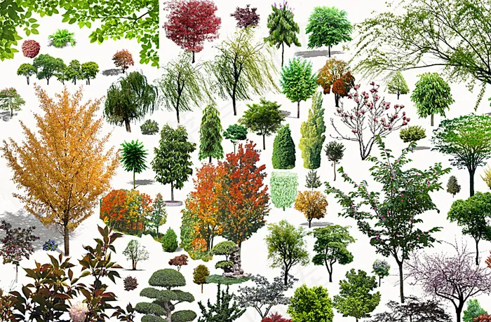 植物景观 PSD素材图片