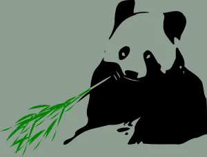 熊猫吃竹子的剪辑艺术