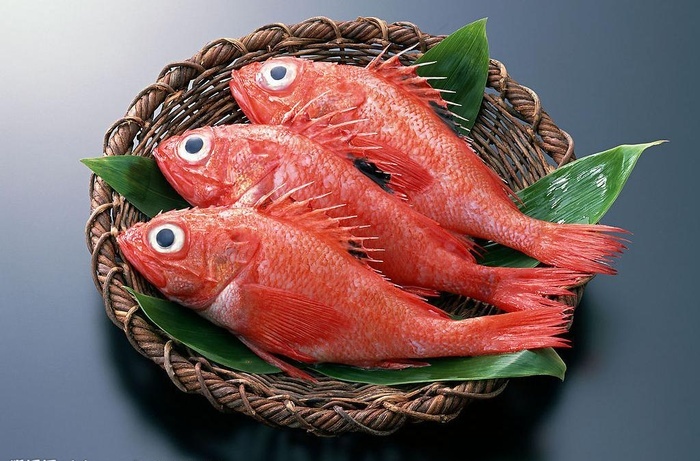海洋生物海鲜 红鱼图片