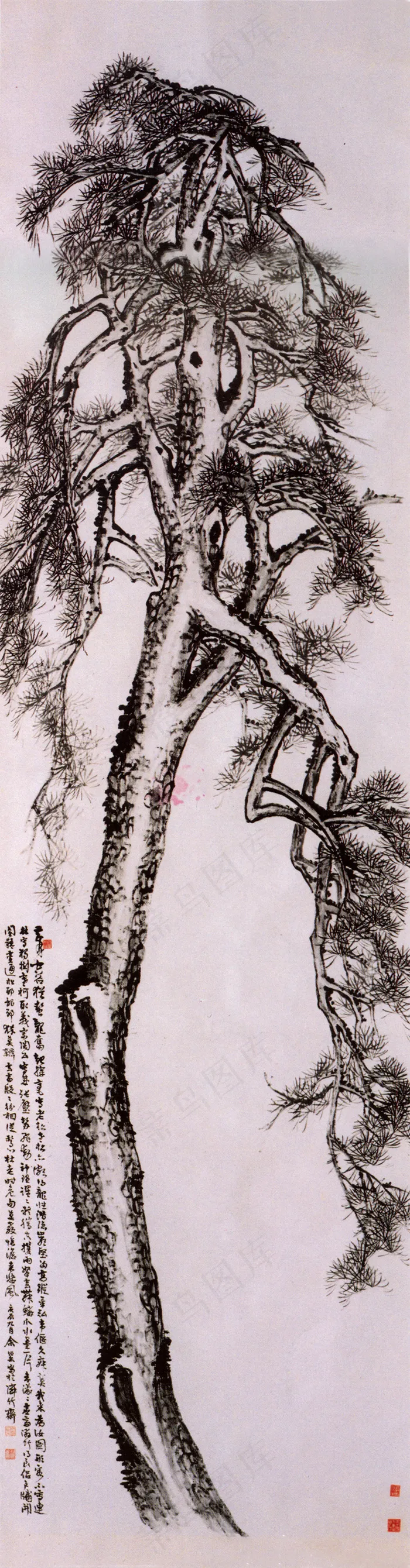 水墨松树图图片