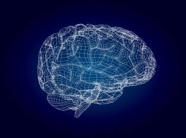 三维模型式的大脑矢量素材epsai矢量模版下载