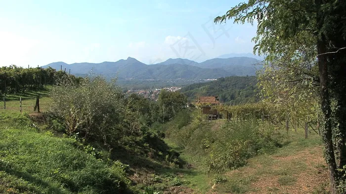 意大利的葡萄园2股票视频山谷风景 ...