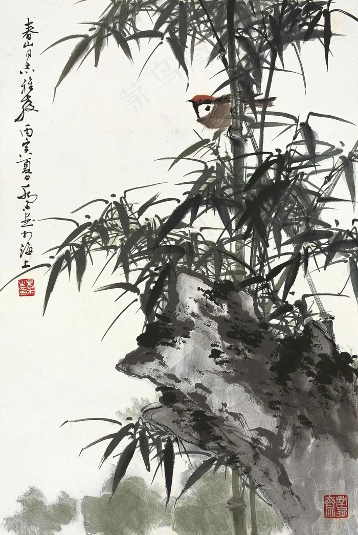 翠竹图片