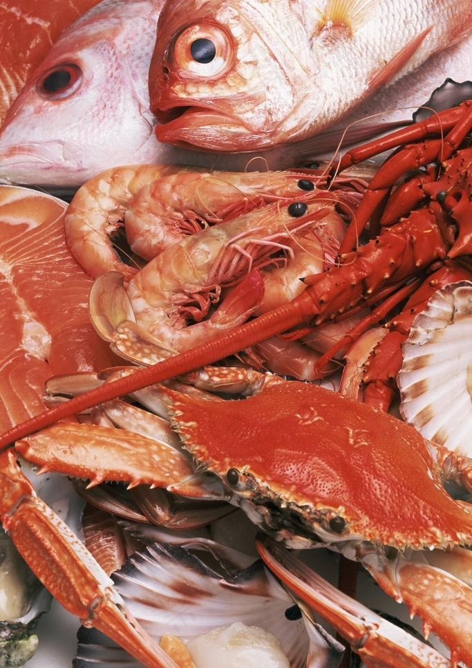 海鲜图片