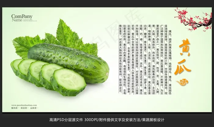 蔬菜展板设计黄瓜海报招贴广告设计