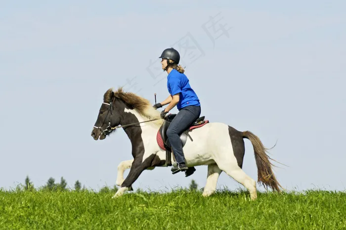 草地上骑马的女孩图片
