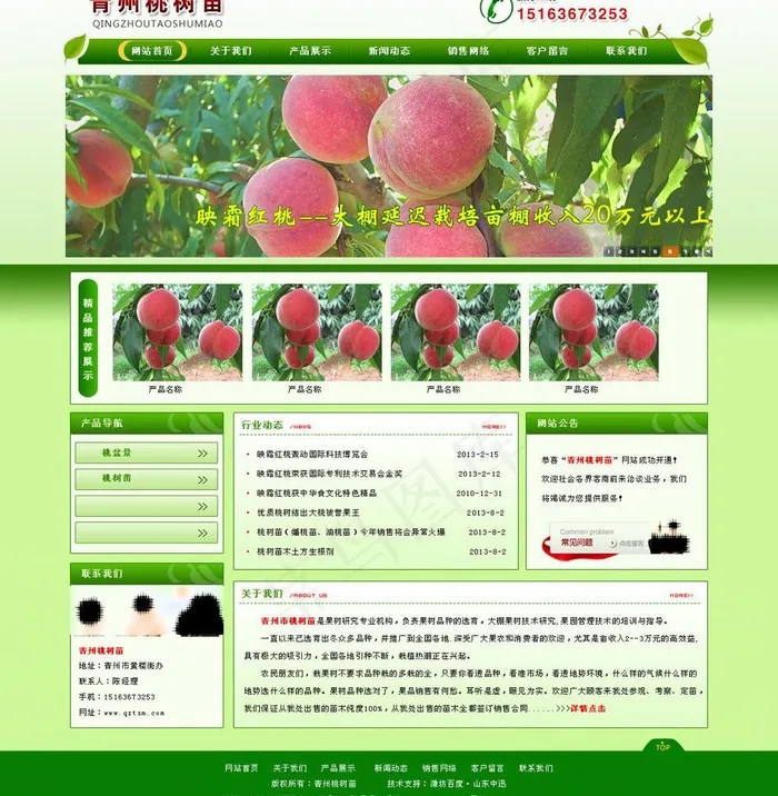 桃树苗图片
