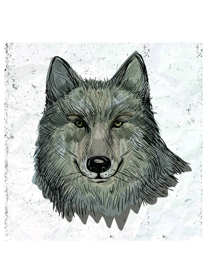 手绘水彩动物狼头像