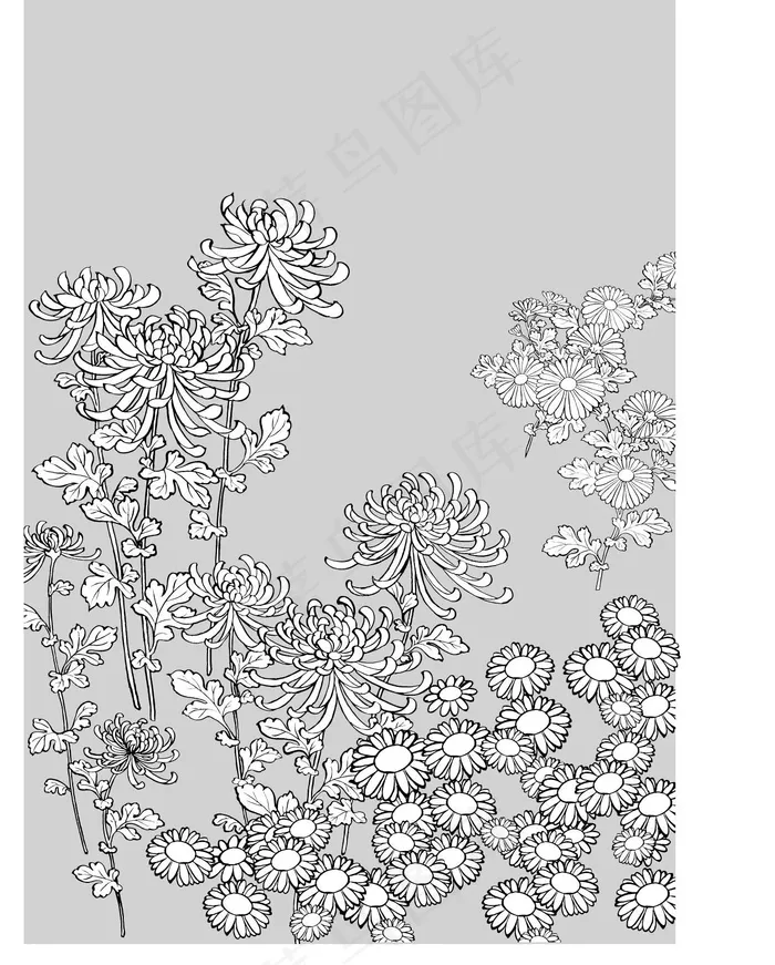 日本线描植物花卉矢量素材27