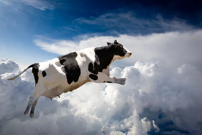奶牛与云层图片