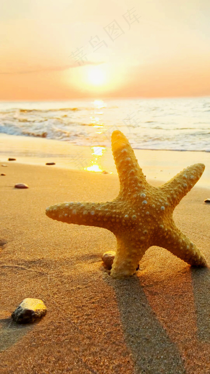 阳光海滩星星图片