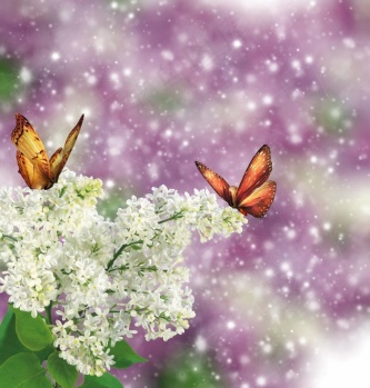 高清雪花蝴蝶图图片