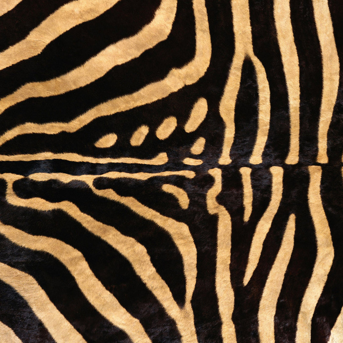 实物面料 动物皮纹 斑马皮 免费素.