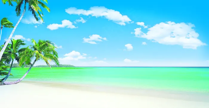 蓝天海滩椰树图片