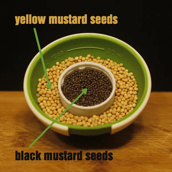 12best_spices_mustard_seeds_1