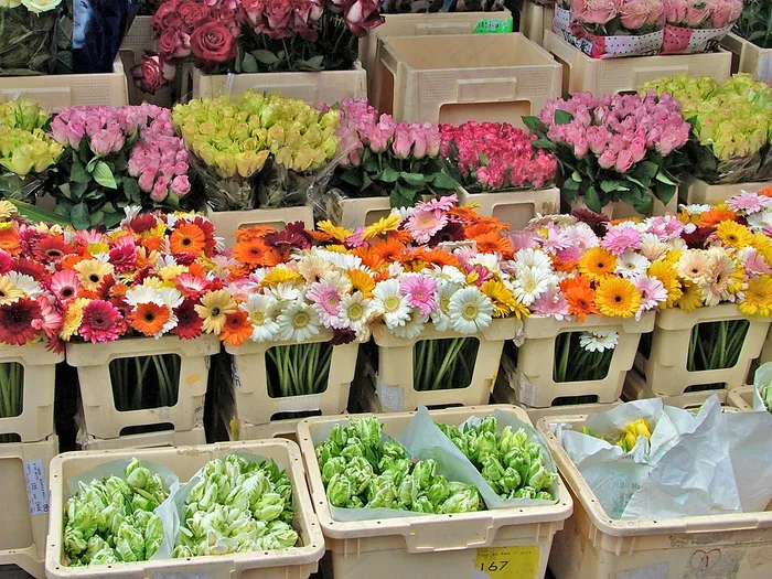 花卉,鲜花市场,工艺品,盆栽植物,水果摊,花卉