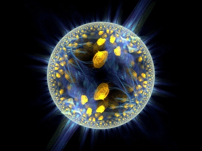 管水母目动物深海水母箱水母水蚤水母实验109分形