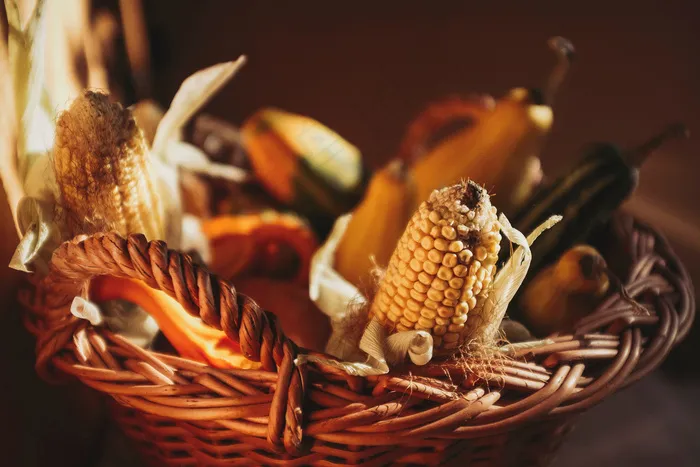 秋季，购物篮，玉米，玉米，秋天，健康，蔬菜