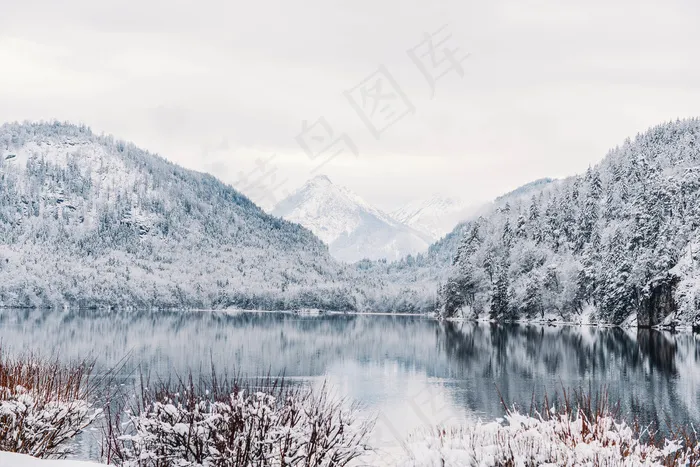 高清壁纸，雪景，查看，野生，冬季