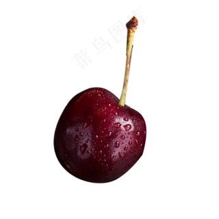 一颗新鲜的红樱桃