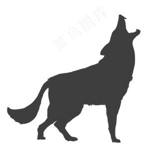 动物狼剪影