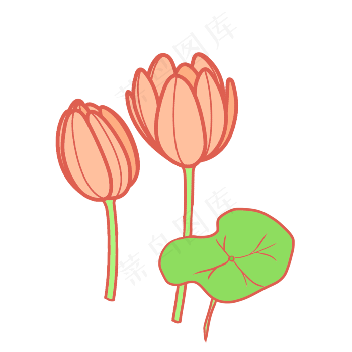荷花花苞花枝插画(2000x2000(dpi:300))psd模版下载