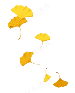 飘落的银杏叶,免抠元素