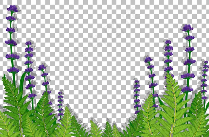 透明背景上的紫色花田eps Ai矢量模版下载 菜鸟图库