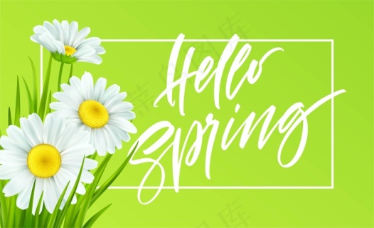 春天的背景是雏菊和新鲜的绿草.你好春天手写字母.插图