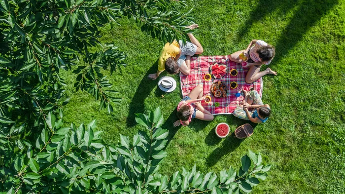 一个快乐的家庭，孩子们在公园野餐，父母带着孩子们坐在花园的草地上，在户外吃健康的饭菜