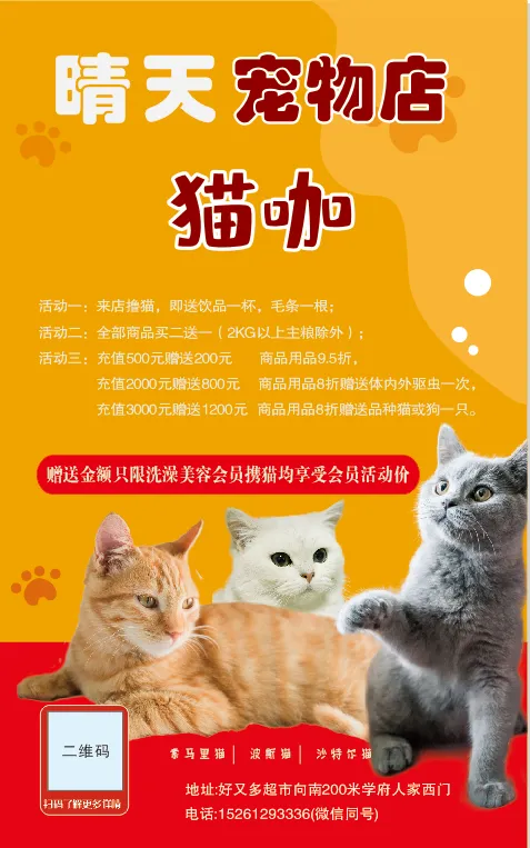 宠物猫咪海报