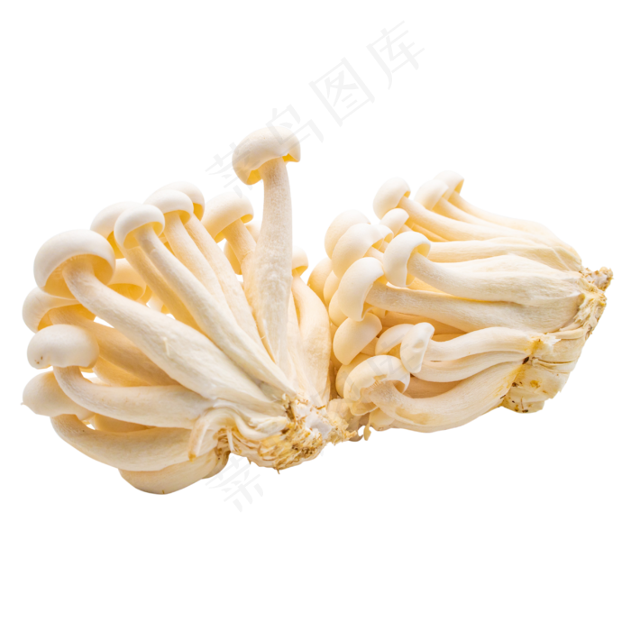 蔬菜菌菇(3000*3000px 300 dpi )