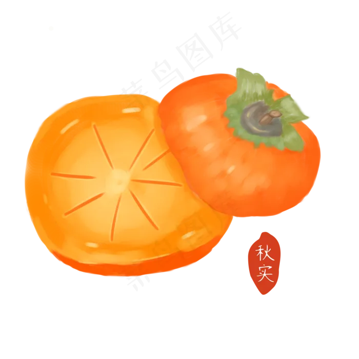 手绘二十四节气秋实柿子