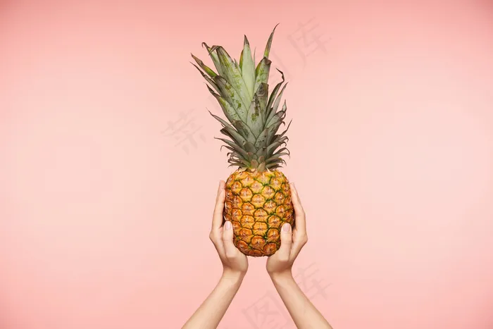 一张室内照片，美丽的女性皮肤白皙的手举着美味的新鲜菠萝，在粉色背景上摆姿势。食品和新鲜水果概念