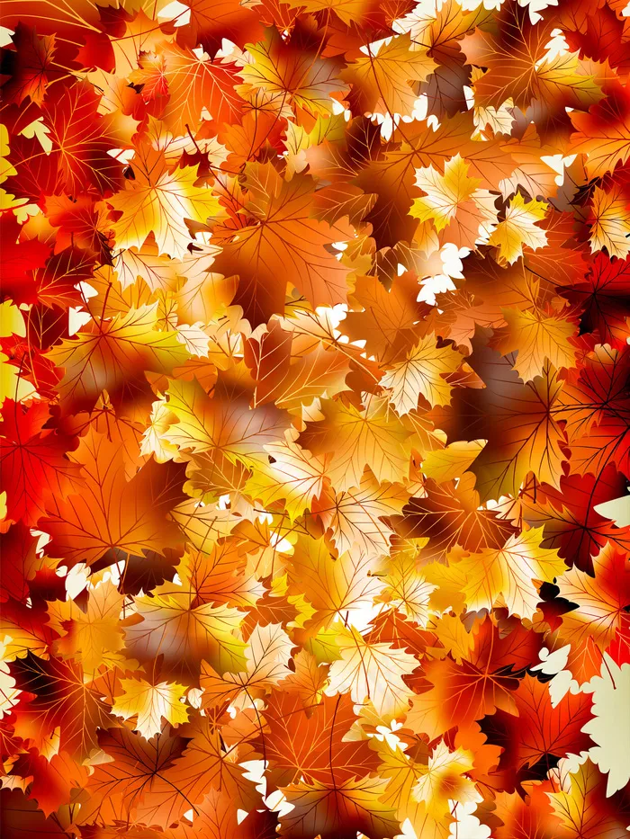 五彩缤纷的秋叶背景。