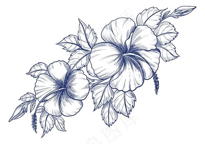 手绘素描装饰花卉背景