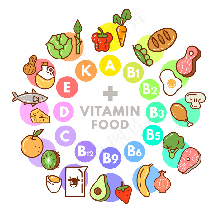 维生素食品信息图epsai矢量模版下载
