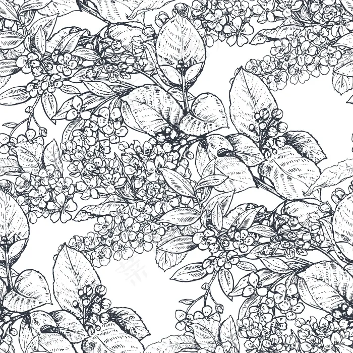 矢量无缝图案，由手绘花朵、盛开的树枝组成。美丽的黑白素描花卉无尽的背景。
