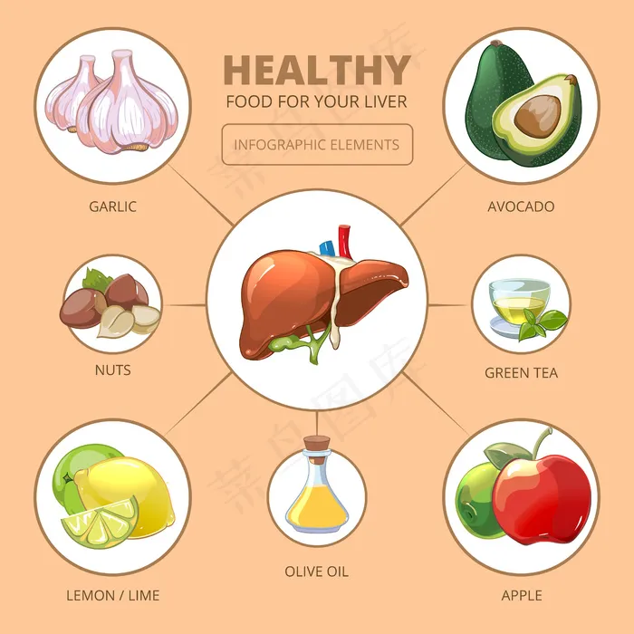 肝脏的健康食品。苹果和橄榄、酸橙或柠檬、绿茶、坚果和大蒜设计，矢量图。医疗健康信息图