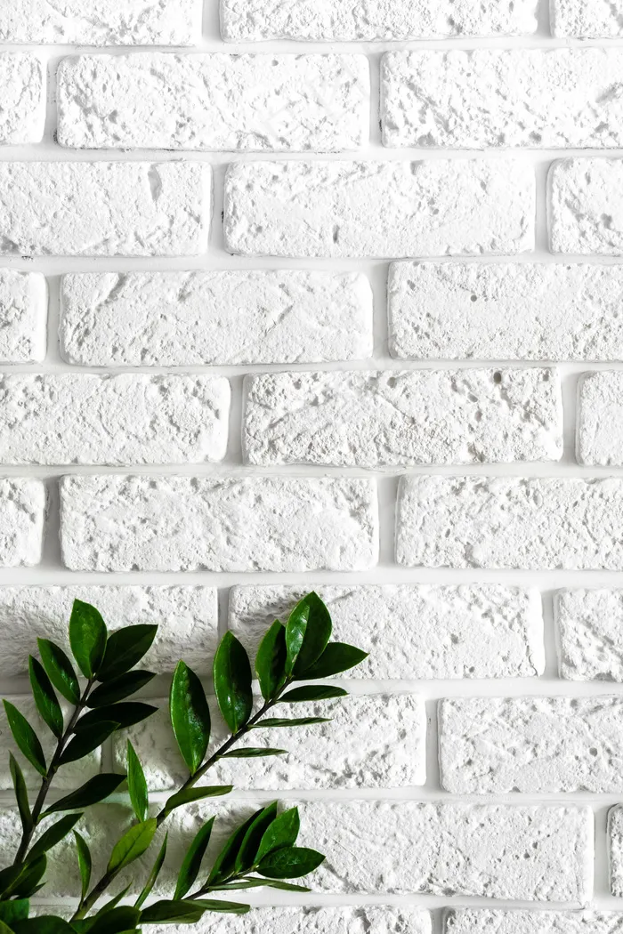 绿色植物枝桠白砖墙现代家居室内背景，天然树叶上干净纹理的混凝土水泥图案表面砌砖，垂直图像用文字复制空间