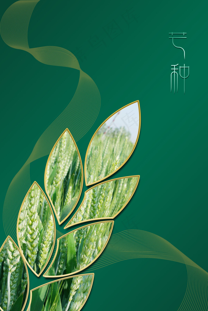 菜鸟图库提供高质量设计素材下载, 本素材作品名称为中国风绿色芒种二
