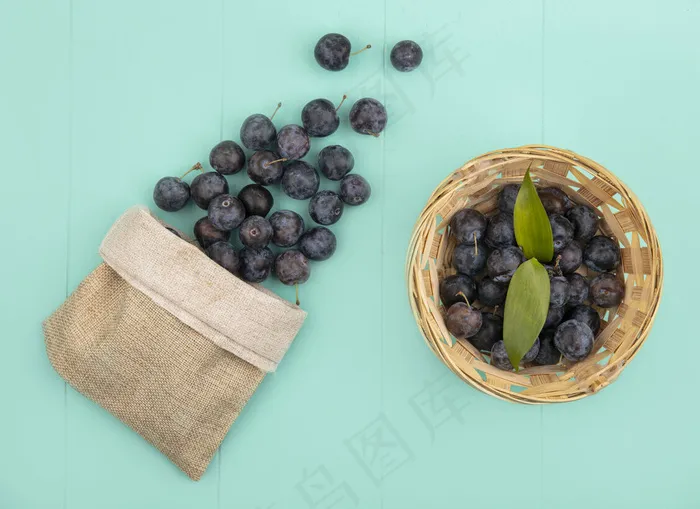 一个桶上的黑色球状收敛的小浆果树莓的俯视图，在蓝色的背景下，树懒从麻袋里掉了出来