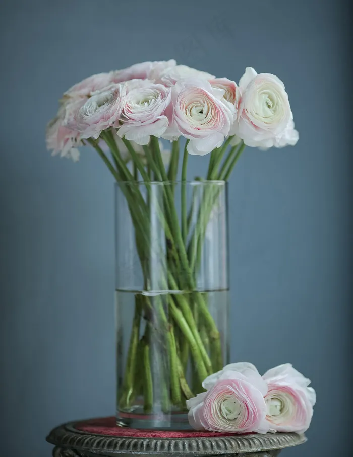 桌上瓶子里的粉白色的花