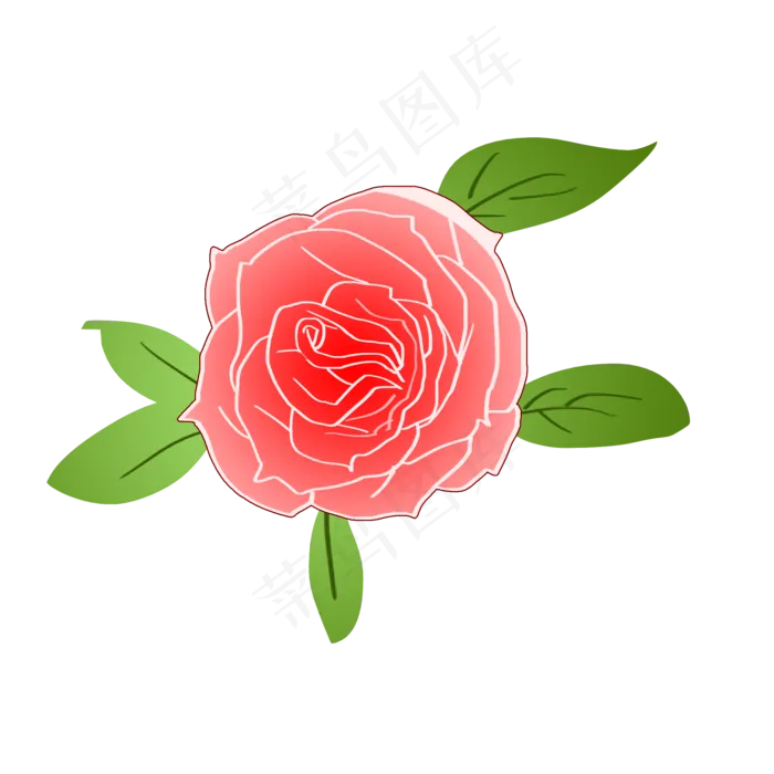 淡粉色精美玫瑰花