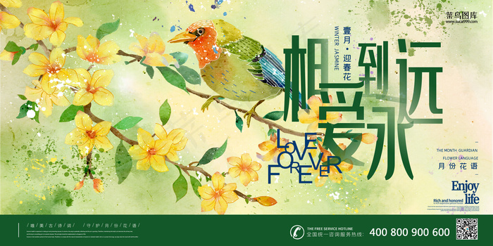 十二月花语之一月迎春花花语相爱到永远插画风格海报23691183pxpsd