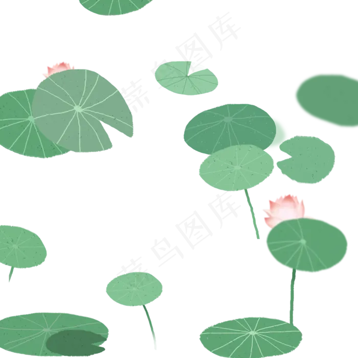 绿色莲花池塘荷叶