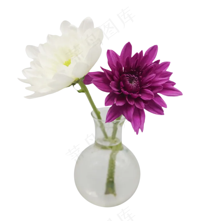 鲜花花束花瓶 2500x2500 Dpi 300 Psd模版下载 菜鸟图库 鲜花花束花瓶 2500x2500 Dpi 300 Psd模版下载 菜鸟图库