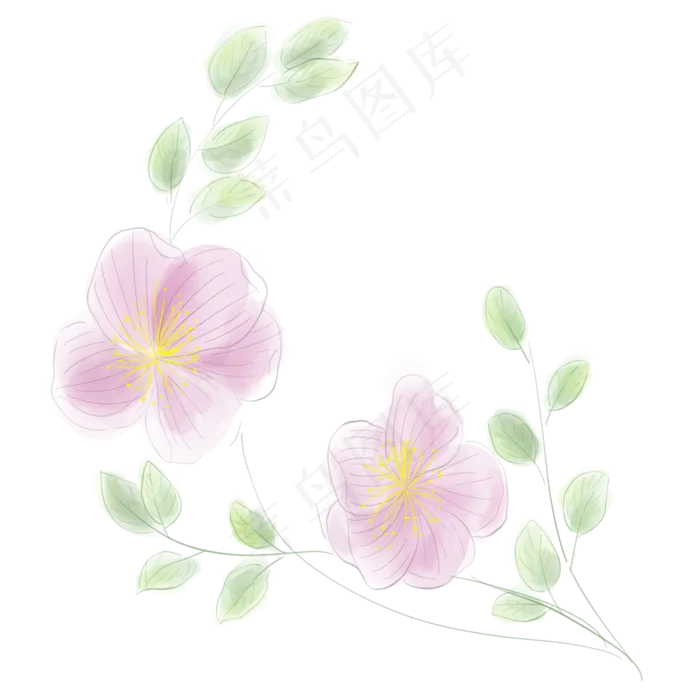 淡粉色水彩花朵