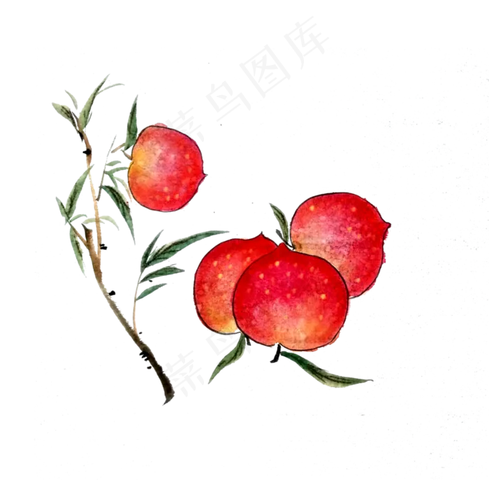 水墨国画红色桃子水果鲜果寿桃P