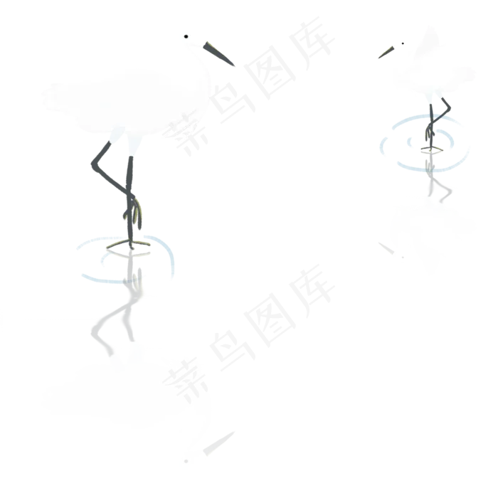 白露节气白鹭鸟在河水中戏水插图,免抠元素